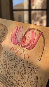 We were delighted to see this wonderful review of our Softcover Flexis Notebooks by @dmagazin. We particularly loved how they highlighted the stories behind each design as well as the art forms that are commemorated on each. | Paperblanks