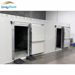 [Hot Item] Custom Design Cold Room Commercial Walk-in Freezer Cold Storage Cool Room