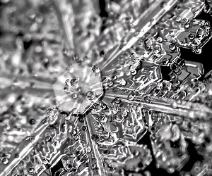 Melting Snowflakes in Reverse