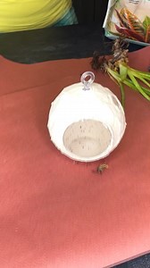 6.1K views · 104 reactions | Beautiful and Easy Plant Hanger DIY #plants #houseplants #plantlife #diyplanter | Consciously Creating | Facebook