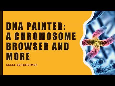 DNA Painter: A Chromosome Browser and More