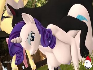MLP with dog