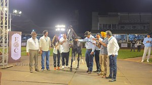 2.3K views · 95 reactions | Beautiful Stallion black jack aaya hai display mai logo ne kiya suwagat photo shoot bhi jamker ki gai #horsestutas #videography #horsevideo #horsesong #punehorseshow #rajasthandiscovery #youtubevsinsta #trending #rajasthan #horsevideo #reel #village #instagood #videography | Rajashthan Discovery | Facebook