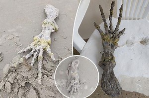 Shocked couple discovers 'alien hand' on beach: 'It's E.T.'s bones!'