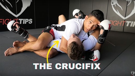 A fight-ending position! | FIGHTTIPS