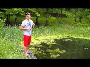 Topwater Frog Fishing For Bass