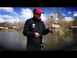 How KVD Finds Bass in Spawning Grass Beds