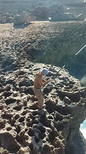 44K views · 726 reactions | fishing sargos  | Tamri fishing | Facebook