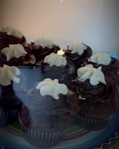 1K views · 47 reactions | We’re baaaaack!!!  | Monkeycakes | Facebook