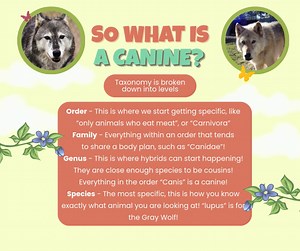 24 reactions | Did you know that all living things are broken down...