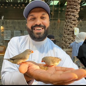 1.4M views · 120K reactions | Madina Family Garden - Artificial Rain  Birds & Parrots 列 - Full Enjoyment 朗 | Zubair Riaz | Facebook