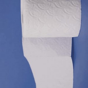 clip-3917530593-clean-white-roll-embossed-toilet-paper-against