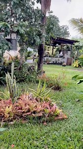 Fique longe dessas pessoas #deus #flores #jardim | Julia Grasiela De Araujo Alves