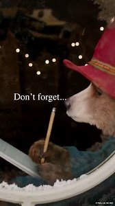 How are you planning to spend your extra hour today? | Paddington Bear