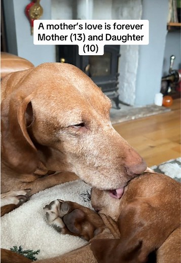 Mother-Daughter Bonding: Cleaning with Love