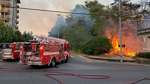 Crews respond to large brush fire near Tacoma Mall