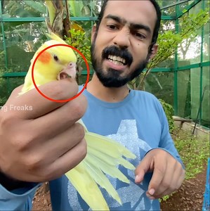 വീഡിയോ ഇഷ്ടപെട്ടാൽ ഷെയർ ചെയ്യണേ | Fishing Freaks