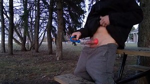 Pig brings vacuum pump to park