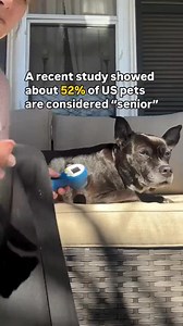 When a pet is considered senior varies based on species and size. Here’s a general guide: Dogs Dogs age at different rates depending on their breed and size: • Small breeds ( 20 lbs) → Senior at 7–10 years • Medium breeds (20–50 lbs) → Senior at 7–9 years • Large breeds (50–90 lbs) → Senior at 6–8 years • Giant breeds ( 90 lbs) → Senior at 5–7 years Giant breeds tend to age faster and have shorter lifespans, while smaller dogs often live into their mid-to-late teens. Cats Cats are generally cons