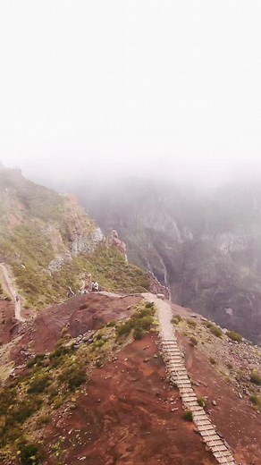 16K views · 497 reactions | Press play, fast forward ⏩⚡ . .  Koastal Forest . . #miut2023 #miut #madeiraoceantrails #visitmadeira Visit Madeira | MIUT - Madeira Island Ultra Trail | Facebook