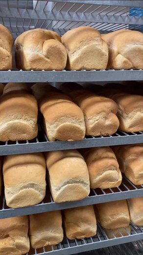 7.6K views · 87 reactions | Can you guess how much flour the Bend-La...