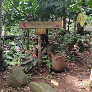 1K views | The Sloth Conservation Foundation on Reels | Facebook