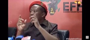 5.9K views · 185 reactions | Julius Malema, the #EFF leader, calls for unity in South Africa and for foreigners to be accorded fair and equitable treatment. | Zimbabwe Voice | Facebook
