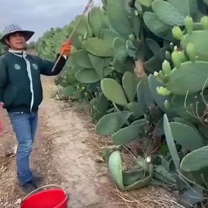 38K views | GPC Health on Reels | Facebook