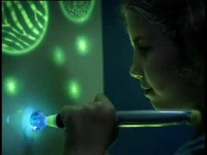 Crayola Glow Station 神奇發光電子畫板