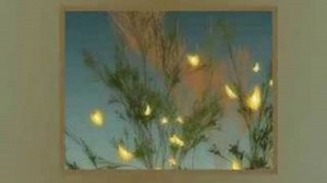 Neil Diamond - Signs