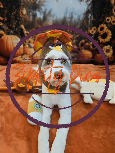  Hazel  Hazel’s the definition of joy in motion — all wiggles,...