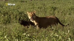 11 reactions | Such an inspiring video | DD Memes | Facebook