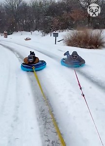 Enjoying snow tubing! | Girly Panda