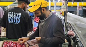 32K views · 270 reactions | #Quality always matters #Fruit Mart trading company #Contact 8899958148 | Focus kashmir | Facebook