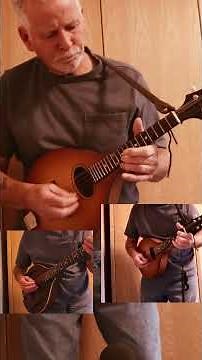tubular bells - cover mandolin #mandolin #musicalinstrument #bouzouki