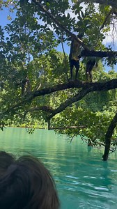 Malopass Blue hole. #enjoyeverymoment #everyonefollowers #postviralシ #vanuatuholiday | Violet Currie