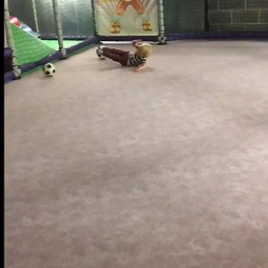 2.8K views · 59 reactions | He takes after his Dad... | Jake Humphrey | Facebook