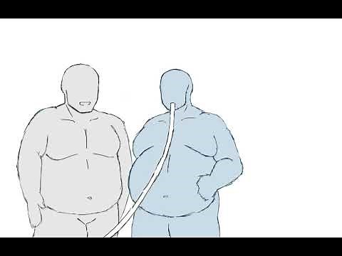 Weight Gain Animation 3