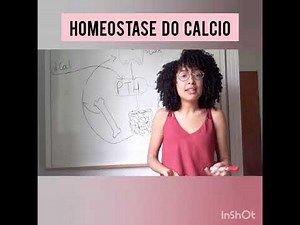 Homeostase do Cálcio