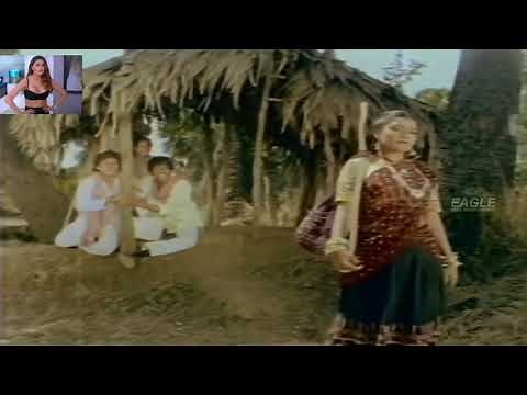 saree fight