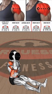 31K views · 549 reactions | A Shoulder Program Focused on Joint Control, Muscle Alignment, and Long-Term Delt Development #shouldertraining #deltdevelopment #jointcontrol #hypertrophy #gymtraining #fitnesscontent | Junior B Divenson Jean | Facebook