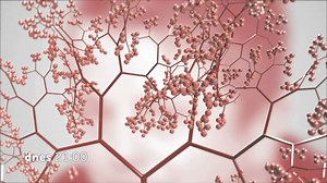 6.5K views · 57 reactions | Tajemství /PETR MUK/  Příběh výjimečného zpěváka a hudebníka z cyklu Tajemství. Z jižních Čech se propracoval na vrchol hitparád, ke stotisícovým prodejům alb a nespočtu nejrůznějších ocenění. Sledujte dnes ve 21:00 na #TVB. | Barrandov.tv | Facebook