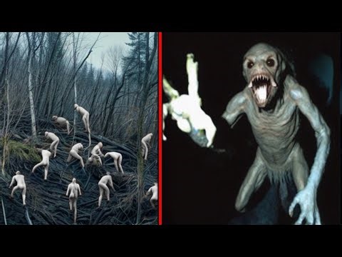 Shocking Discoveries Of Aliens Made In Woods