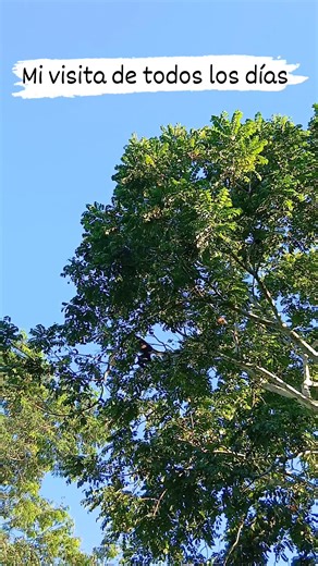 Mary Castro on Reels