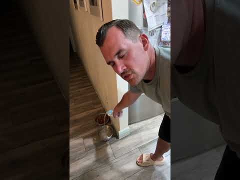 Helping My Wife Makes Me a Better Me ❤️ | Husband Life & Real Partnership