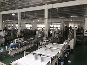 [Hot Item] Filling and Sealing Seal Rotary Packaging Machine Pillow Flow Wrap