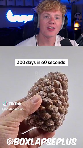 Munson Reacts on TikTok