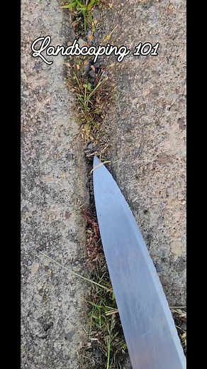 3.9K views · 25 reactions | #Landscaping #outdoor #activities | Penny Ongwenyi Mbane | Facebook