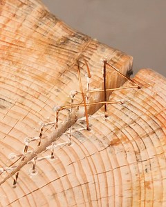 Sewing Wood | Crafty School