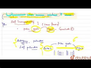 Does self incompatibility impose any restrictions on autogamy ? Give reasons and suggest the met...